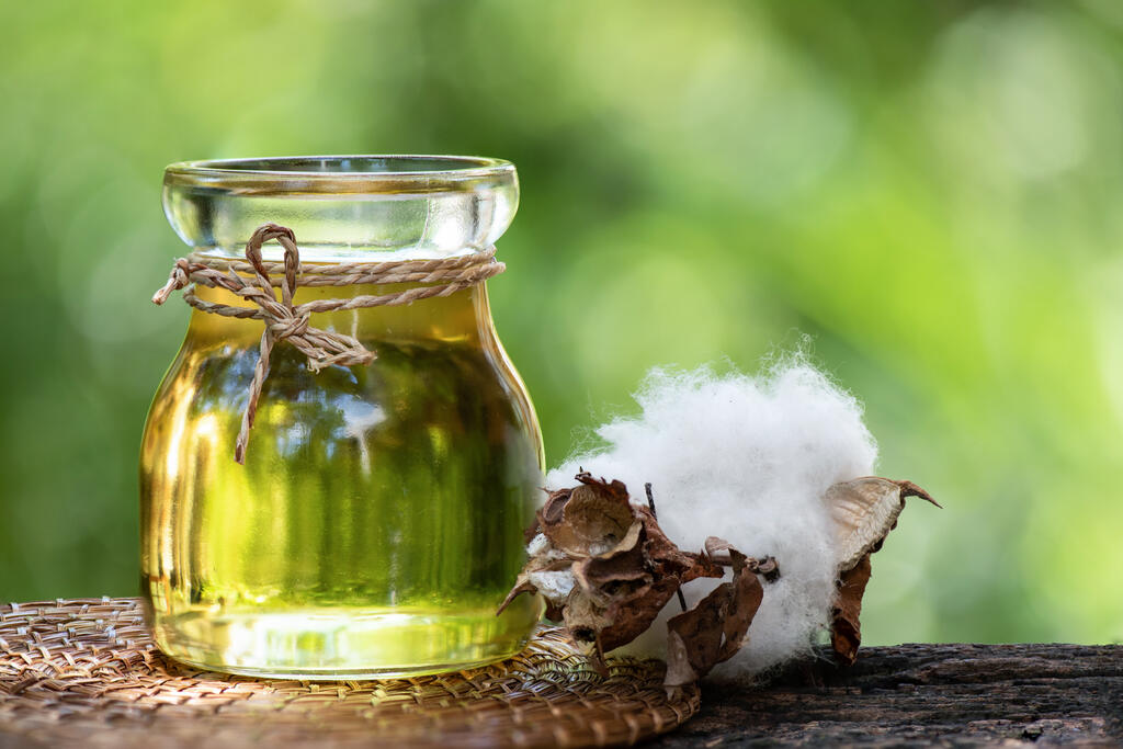 Óleo de algodão substituindo óleo de soja