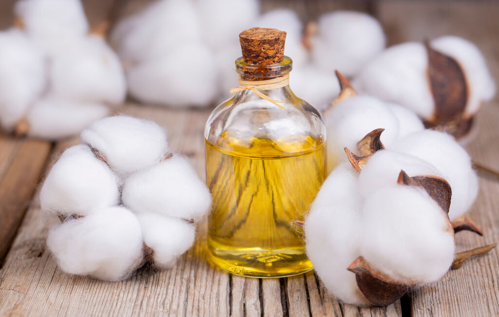óleo de algodão indicando leveza e sustentabilidade ambiental, gordura vegetal de palma é saudável?
