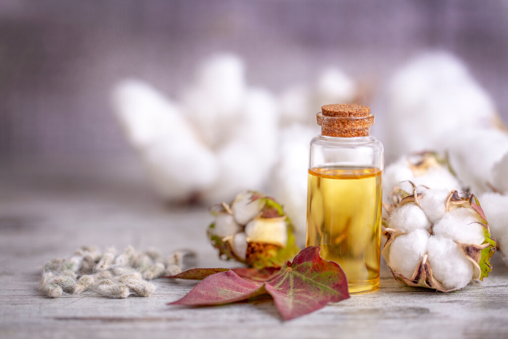 óleo de algodão em frasco com sementes de algodão ao fundo sobre superfície de madeira