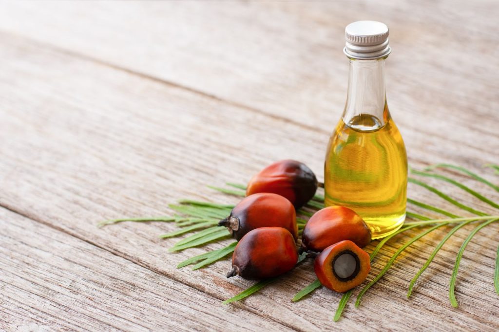 Óleo de palma para fritura: como usar e seus benefícios