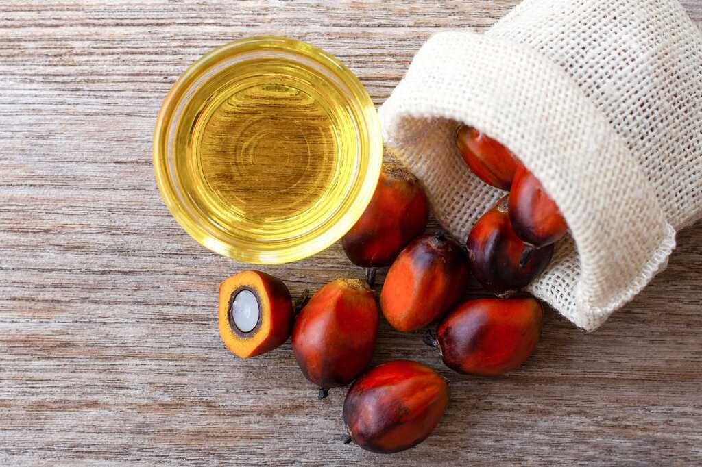 Para que serve o óleo de palma: conheça e tire suas dúvidas!