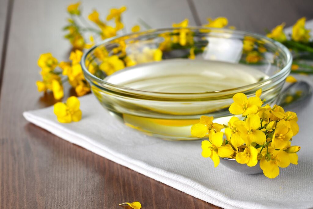 Óleo de canola ou algodão? Descubra qual é a melhor opção!
